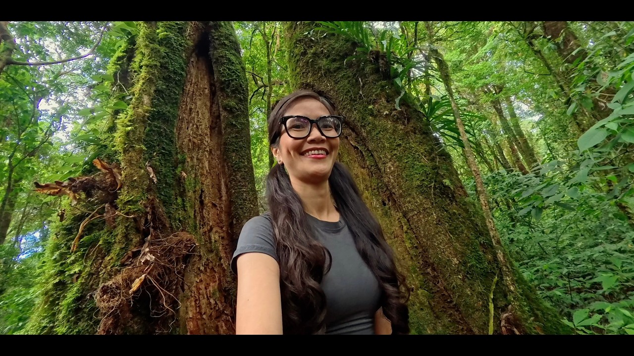 My Doi Inthanon Adventure Experience | Kew Mae Pan Trail | Thailand’s Highest Mountain