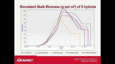 Crop growth model simulation of common hybrids in the G2F Initiative