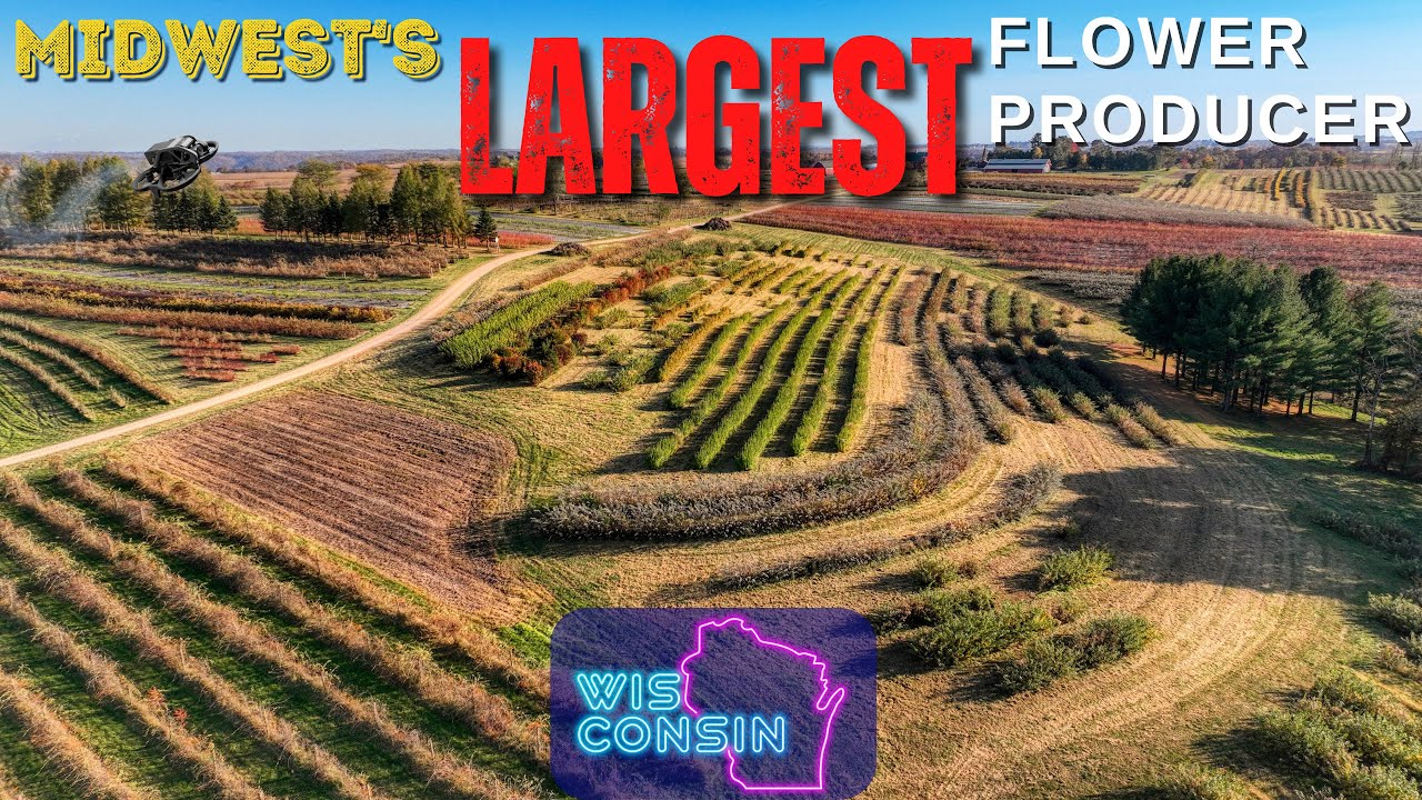 STAR VALLEY FLOWERS The Midwest's LARGEST Entirely Field Grown Cut