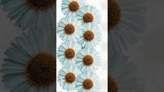 Powerpoint Tutorial [Flower Theme]