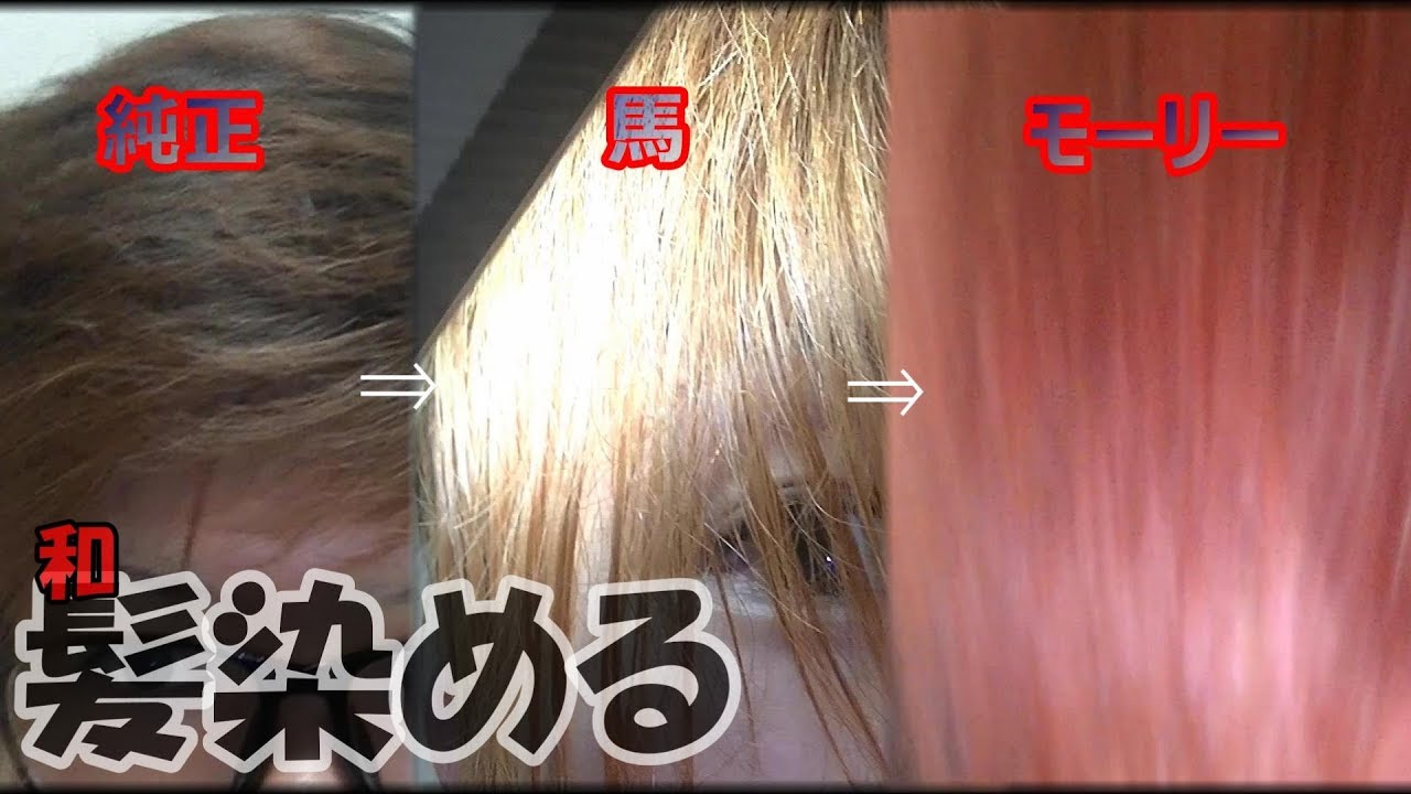 セルフカラーで髪を２回染めて茶髪から金髪から赤髪へチン毛も ノニコムファンクラブ Youtube