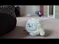 Tweety the Ropet being a shy and sleepy cuddlebug