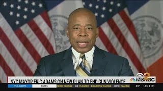 Adams Defends Plan For Anti-Gun Unit