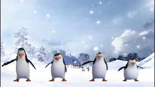 pinguin joget OKE GASS !! lucu gemoy