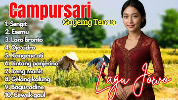 FULL ALBUM CAMPURSARI POP JAWA KOPLO TERBARU 2025 - KONCO NGOPI