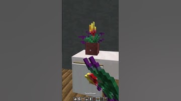 Mirror Build #minecraft #gaming #minecraftbuilding #minecrafttutorial #minecraftshorts