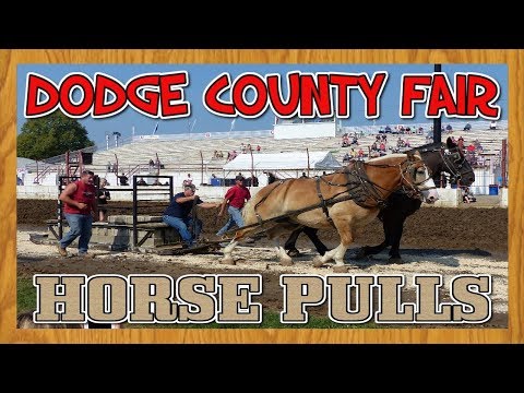 draft-horse-pulls-at-the-dodge-county-fair