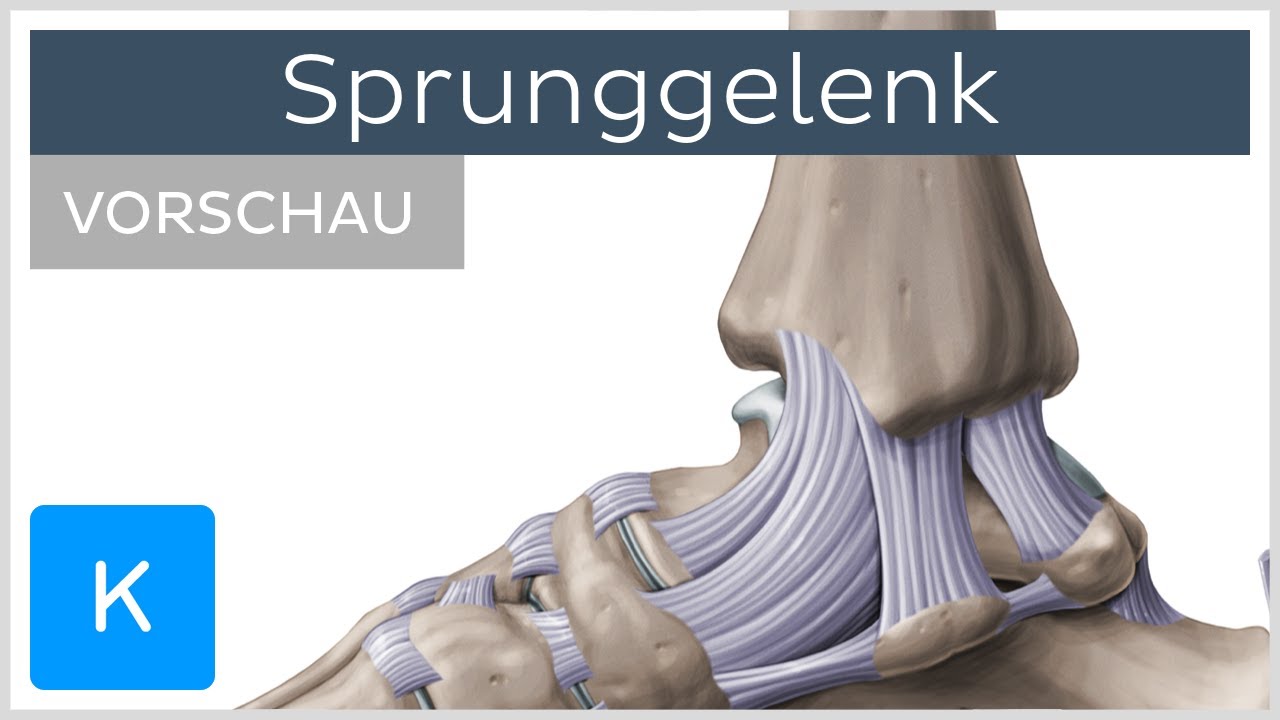 3 Sprunggelenk UCH Ortho Untersuchung FAU