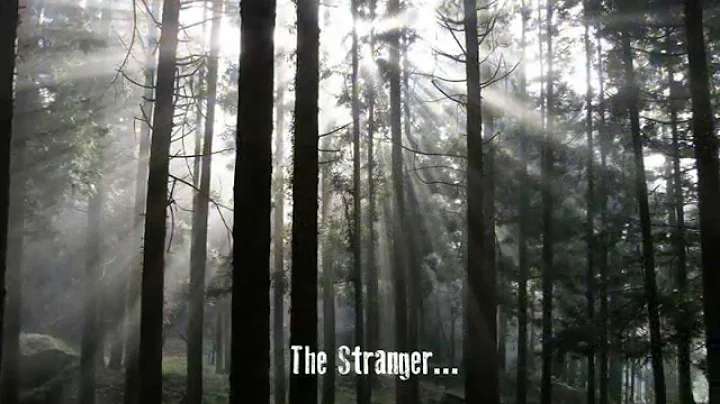 Book Trailer - The Paradise Trees by Linda Huber