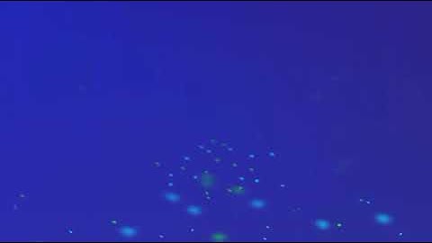 سورة الفاتحة بصوت الشيخ القارئ عبد الباسط عبد الصمد