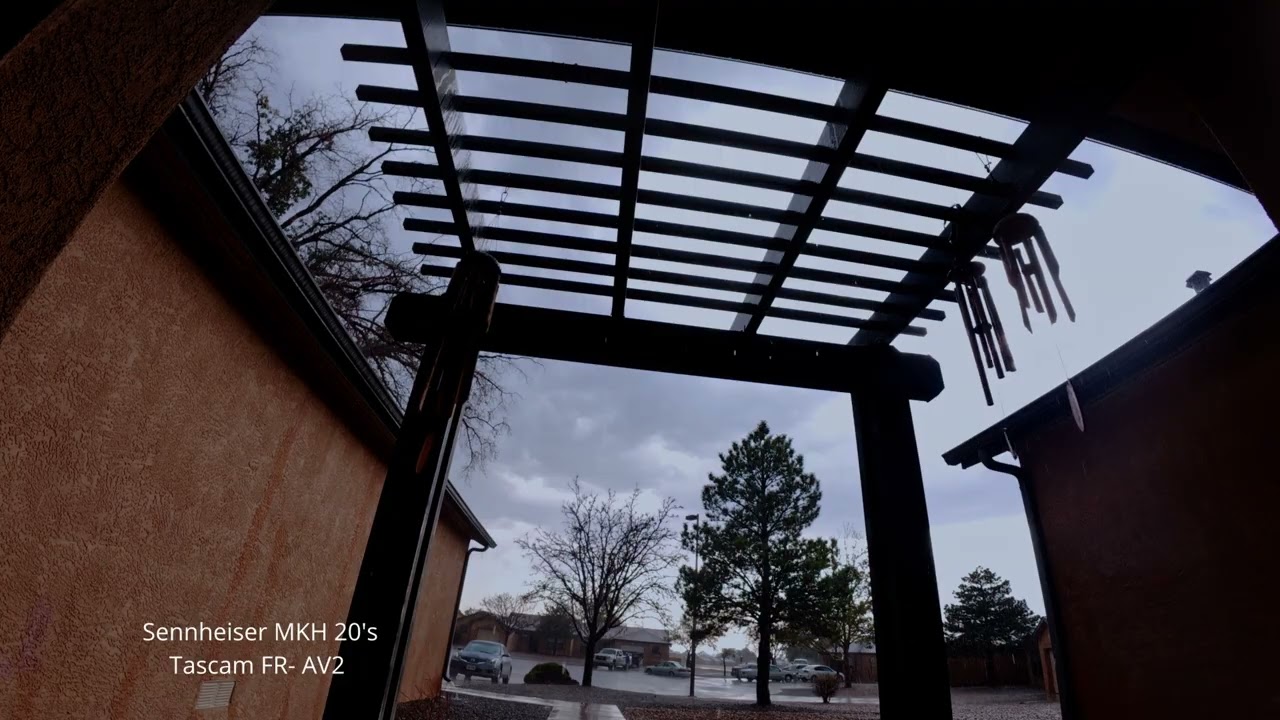 Field Recording/Tascam FR-AV2 /Sennheiser MKH20/Rain/Thunder/Soundscapes