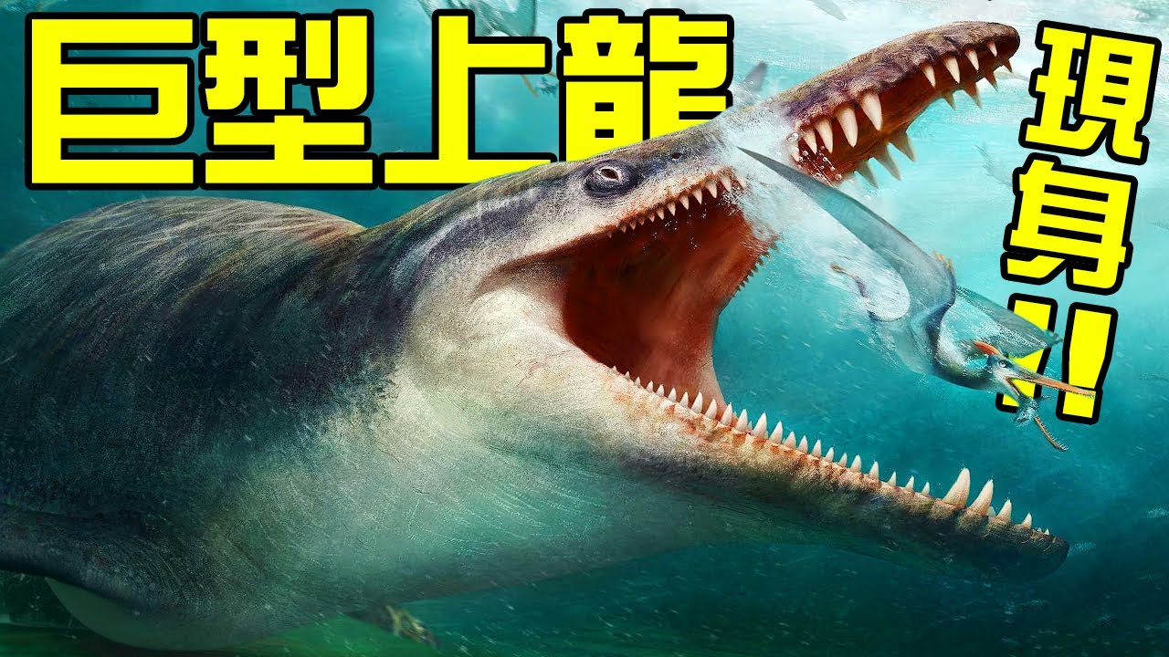 終於發現了巨型上龍的痕跡!棘龍的漁夫形象再次顛覆!喜馬拉雅魚龍又有什麼新發現?丨朝化析拾16丨黑毛羊駝 - YouTube