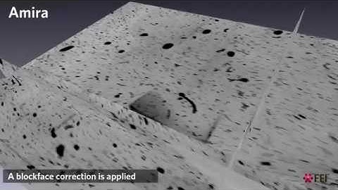 Amira extension - XImagePAQ - Segmentation through classification