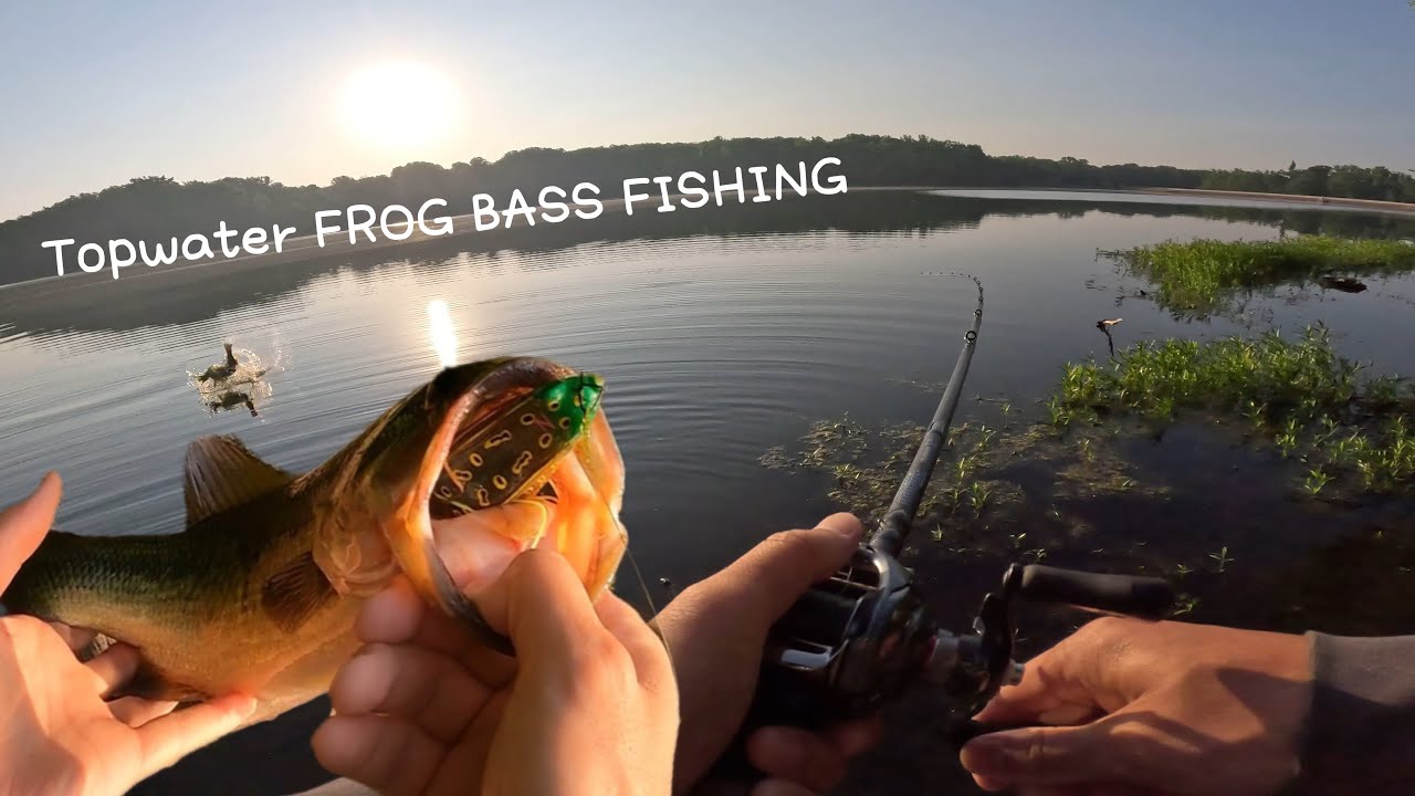 FISHING EXPERIMENT: Senko vs. the Frog!!!(Best EARLY SUMMER Pond Bass  Fishing Lure) 