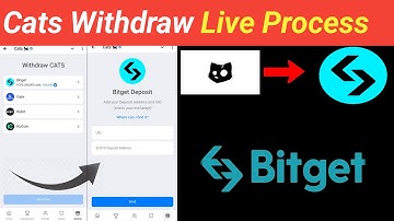 How To Connect Bitget Wallet in Cats | how to withdrawal cats token on bitget | Cats connect bitget