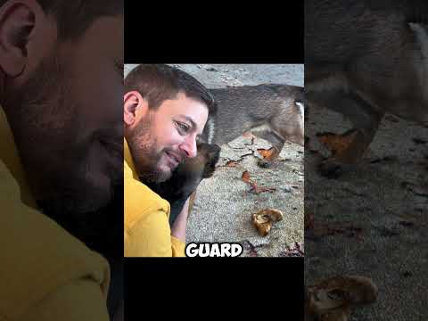 Don’t get bitten 🚫