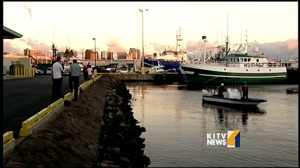 Honolulu Harbor molasses spill spreads YouTube