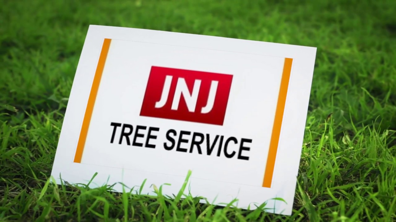 Tree Service Company In Burlington County NJ
