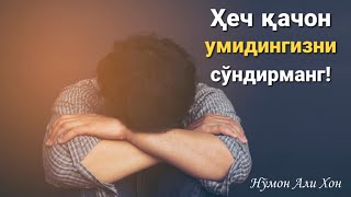 Ҳеч қачон умидингизни сўндирманг | Нўмон Али Хон