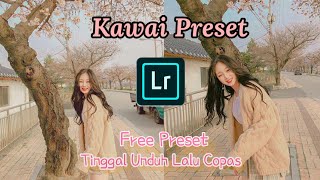 Tutorial Lightroom Kawai Free Preset Tinggal Copy Paste Ala Selebgram dan Cara Unduh Preset screenshot 3