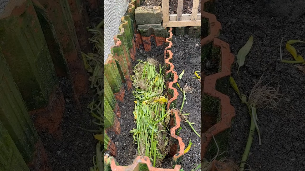 The Easy Way to Build Healthy, Fertile Soil for Your Garden #backyardgardening #gardening