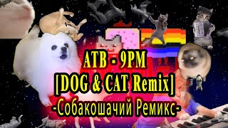 ATB - 9PM (Till I Come) [DOG & CAT Remix] (Собакошачий Ремикс)