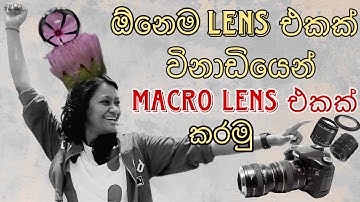 DIY Macro Photography: How to Turn Any Lens into a Macro Lens #macrophotography #macrotutorial