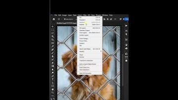 How to remove Fence In Photoshop