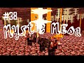 Rescuing Anether Wolf | Mystic Mesa Modded Minecraft (Ep.38)