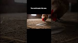 It’s about time if you ask me. #2007scape #osrs #runescape #netflix #hbo #pc #fantasy #rpg #trailer