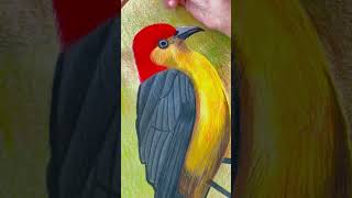 Portrait drawing#color pencil drawing #colors of life artstudio