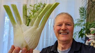 What to do with Fennel