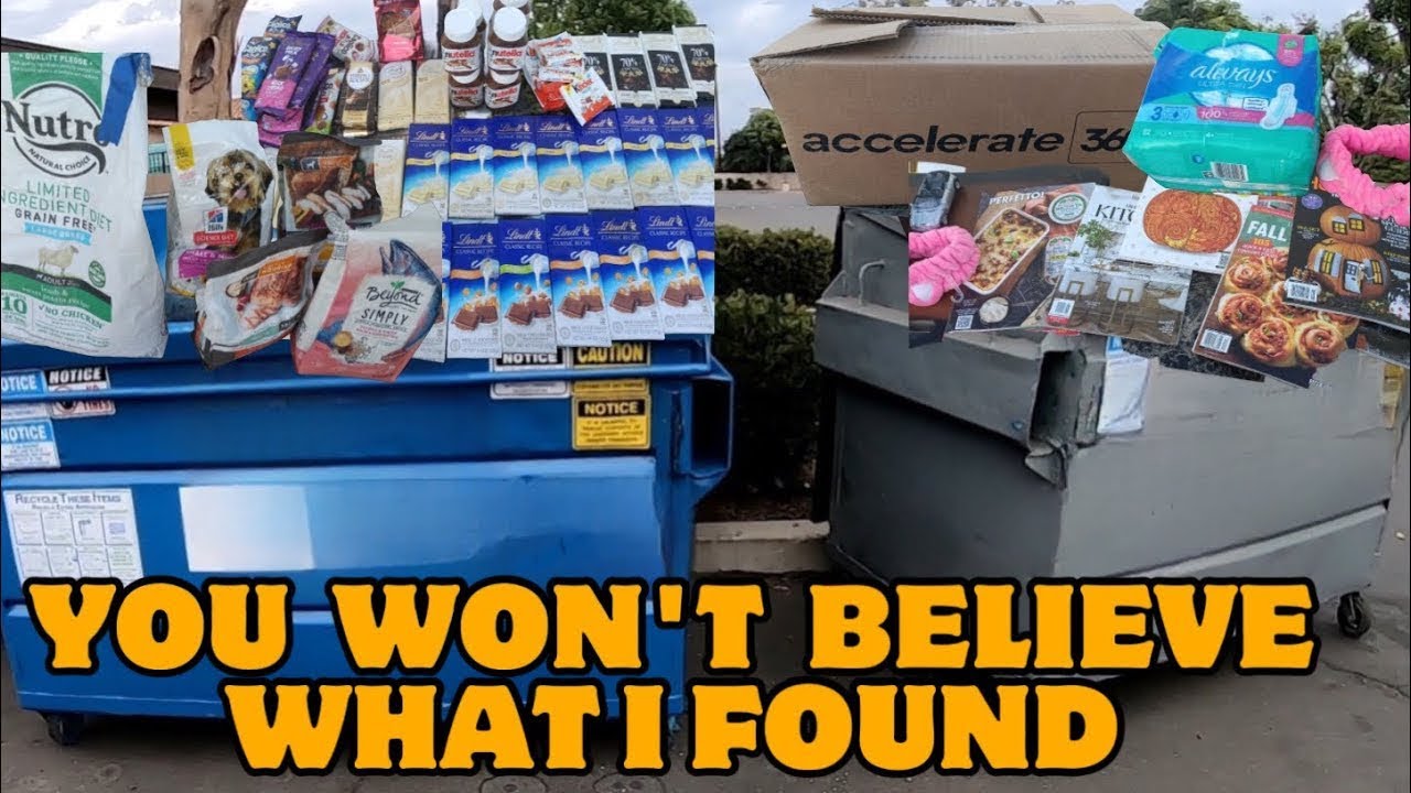 YOU WON'T BELIEVE WHAT I FOUND DUMPSTER DIVING! UNBELIEVABLE TREASURES IN THE TRASH