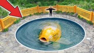 World's Largest Koi Fish! by George Mavrakis 684,828 views 7 months ago 12 minutes, 10 seconds
