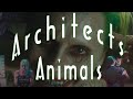 Architects - animals