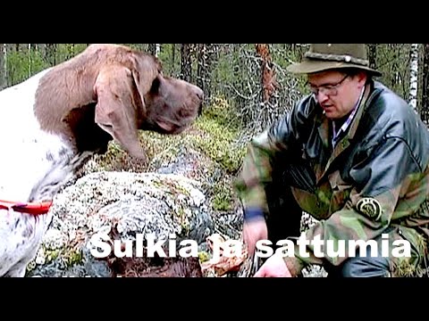 Video: Kuinka kaukana liotusaukon tulisi olla sakokaivosta?