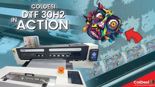 Direct-To-Film Printing in Action | ColDesi 30H2 Commercial DTF Printer