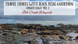 Travel Tidbits with Black Petal Gardening - Oregon Coast Vol. 2 - Bob Creek Wayside
