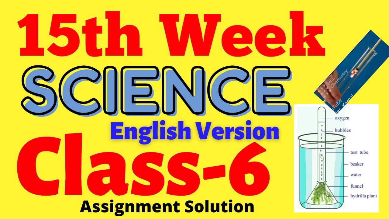 class 6 science assignment 15th week