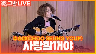 [Live] 추승엽(Choo Seung Youp) - 사랑할꺼야 | 원곡 이상은 | 그대의 밤, 정엽입니다
