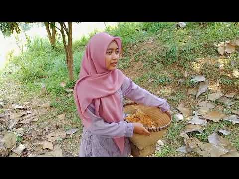 Kelompok 3 XI.B 2026 ANDE ANDE LUMUT