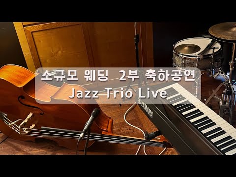 [더뮤직] 소규모 행사 재즈트리오 라이브 축하연주 추천 - 부산 힐튼호텔 스몰웨딩