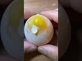 Cảnh nổi bật từ buổi phát trực tiếp
