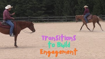 Using Transitions to Build Your Horse