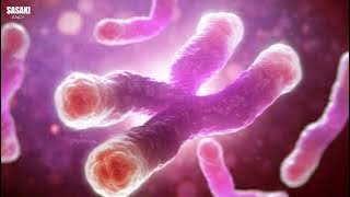 Henagliflozin: A Diabetes Drug's Anti-Aging Promise