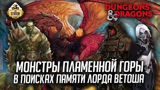 Мультшоу В поисках памяти Лорда Ветоша 4 DD 5 ред Dungeons Dragons МПГ RPGстрим The Station