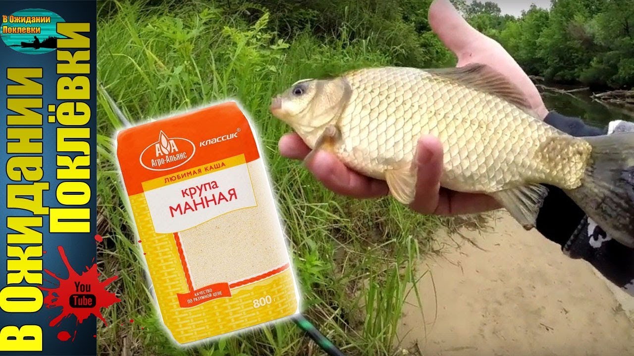 как правильно делать манку для рыбалки видео