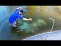 HUGE MYSTERY CREATURE in CITY POND!!