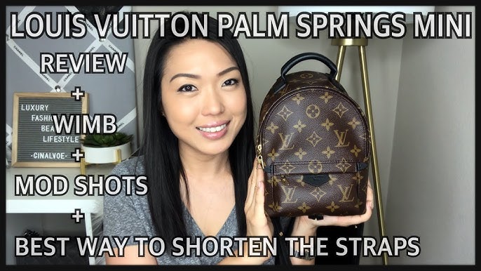 LOUIS VUITTON PALM SPRINGS MINI BACKPACK - REVERSE MONOGRAM - MOD SHOTS AND  WHAT FITS 