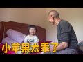 妈妈奶奶去忙，今天小苹果跟爷爷在家太乖了，爷孙女对话太萌啦！【农村小英子】